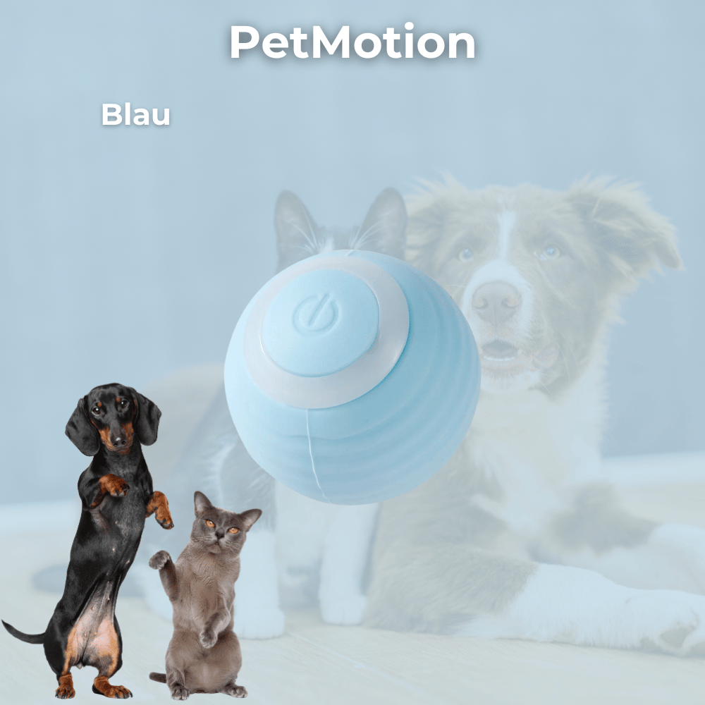 PetMotion
