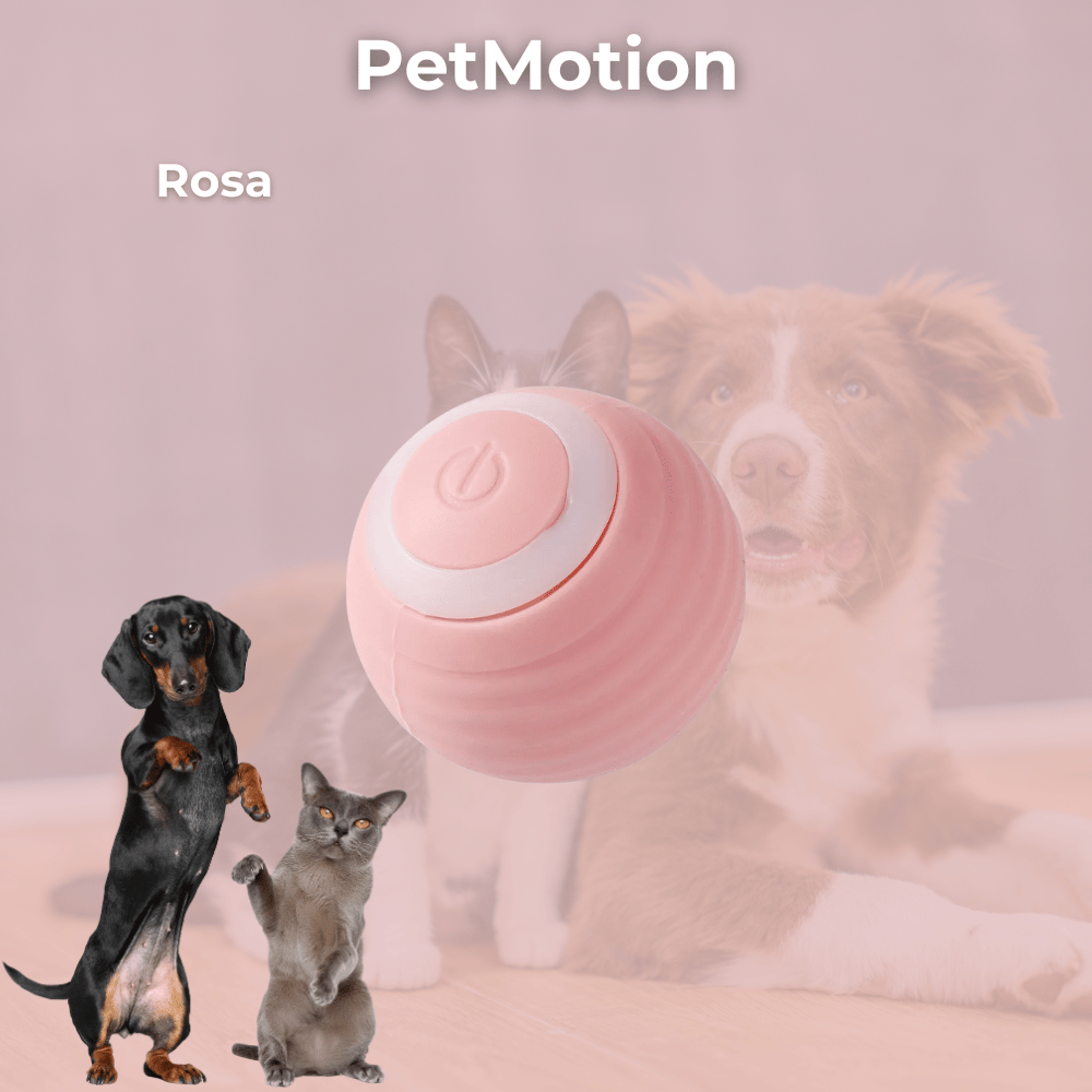 PetMotion