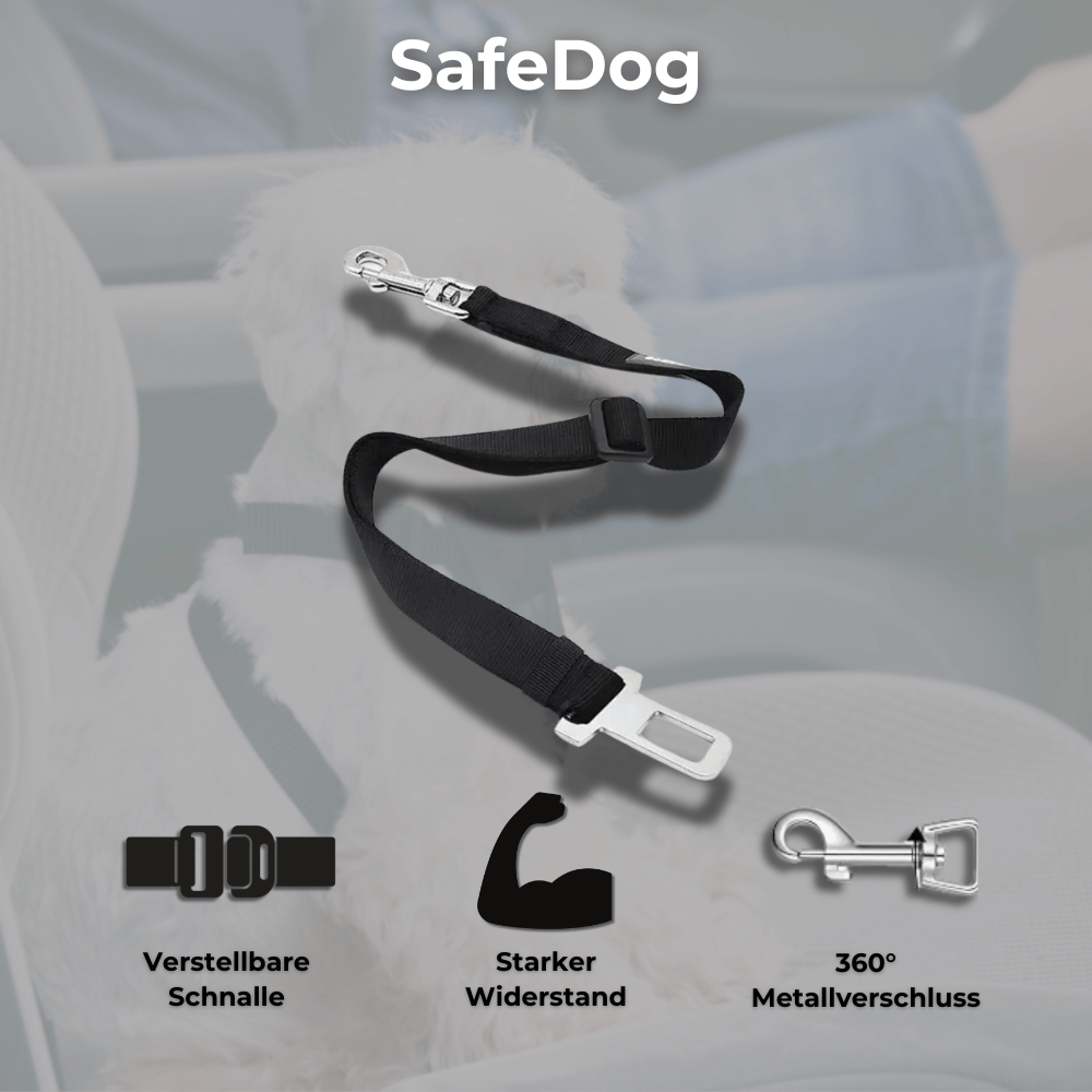 SafeDog