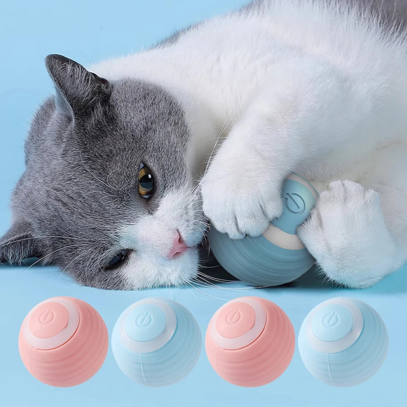PetMotion