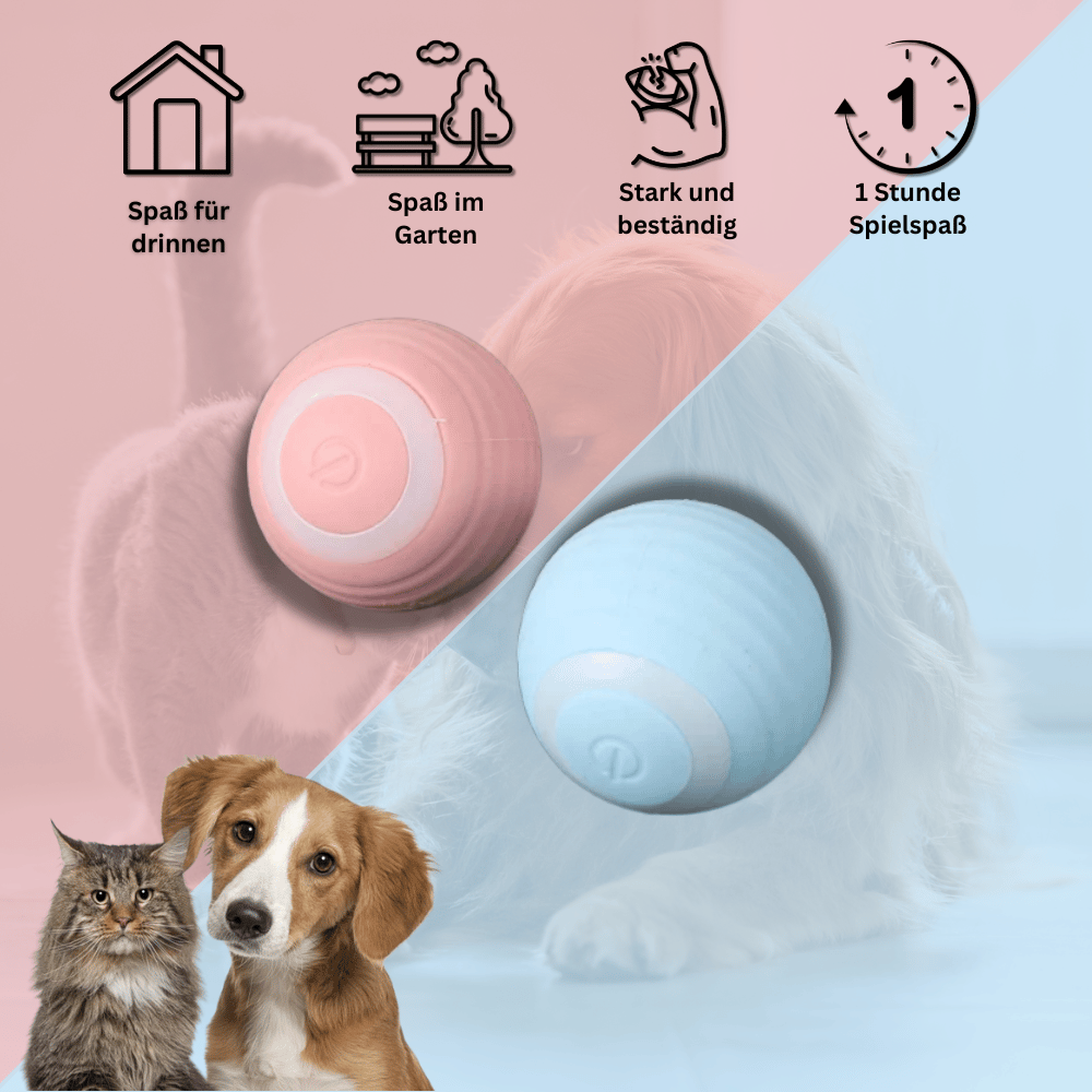 PetMotion