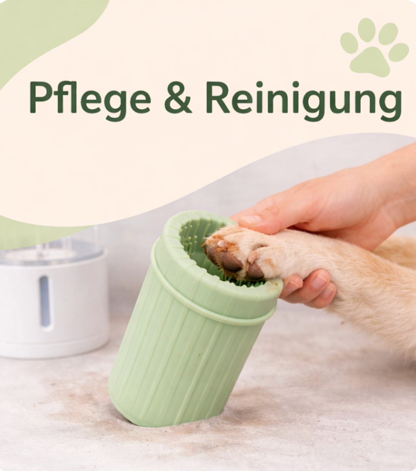 Pflege & Reinigung