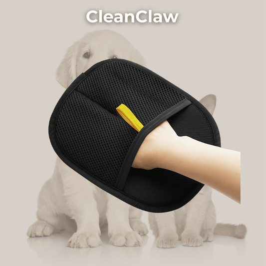 CleanClaw