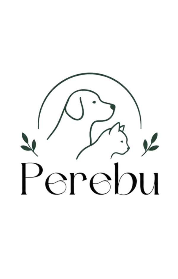 Perebu